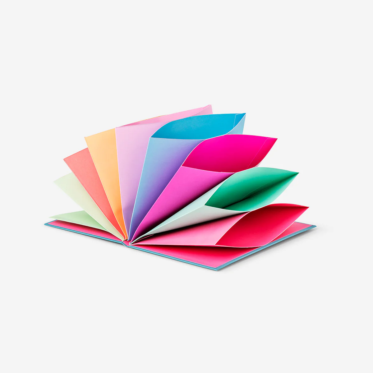 A5 document organiser with tab dividers