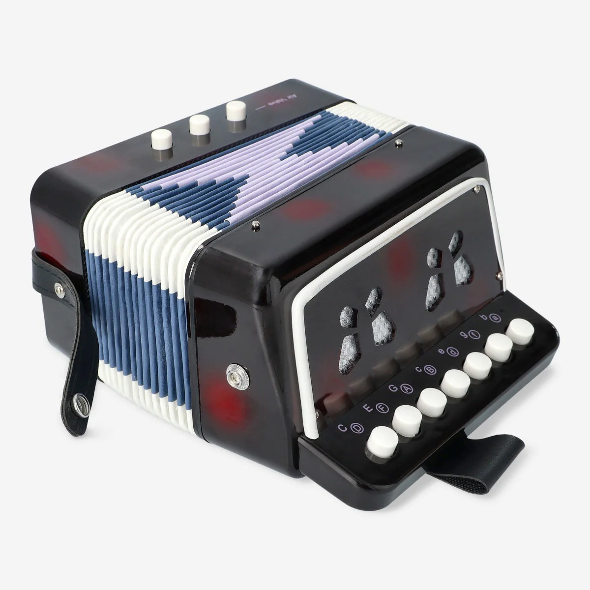 Acoustic accordion - Image 2