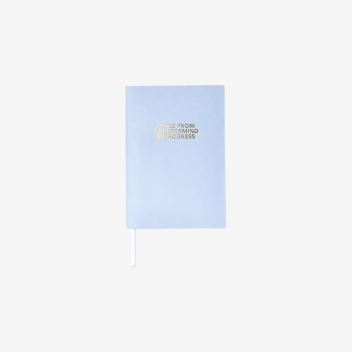 Blue notebook with statement