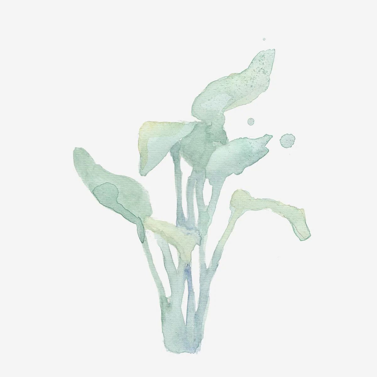 Botancial water colouring book - Image 3