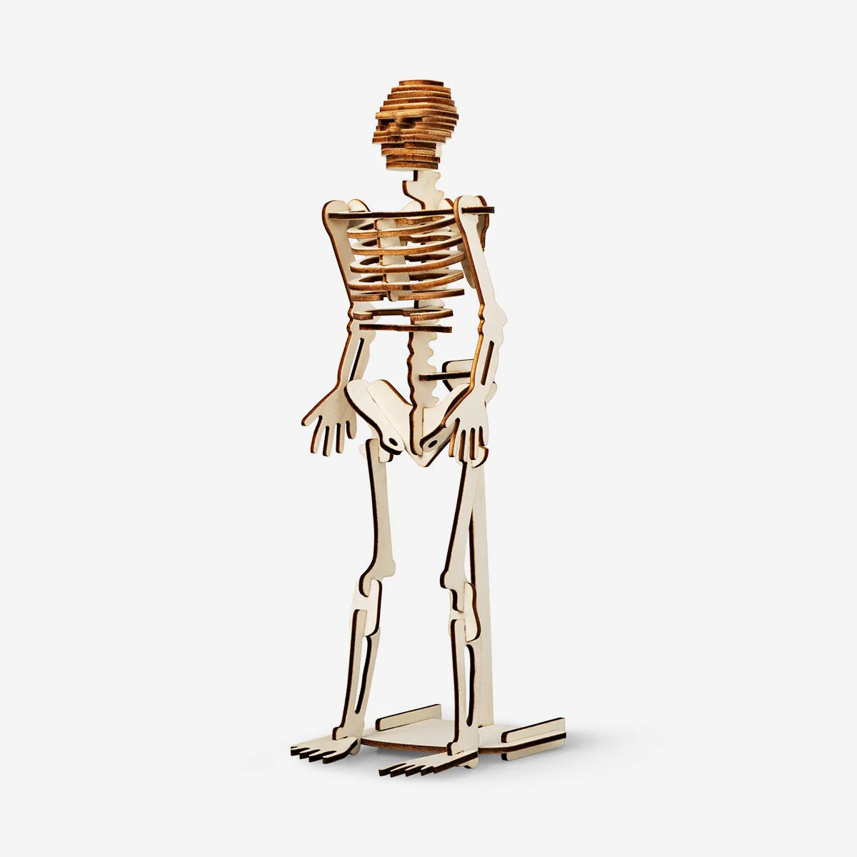 Build-your-own skeleton - Image 2
