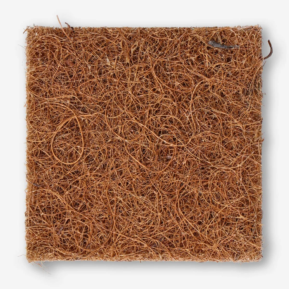 Coconut fibre cleaning sponges - 2 pcs - Image 2