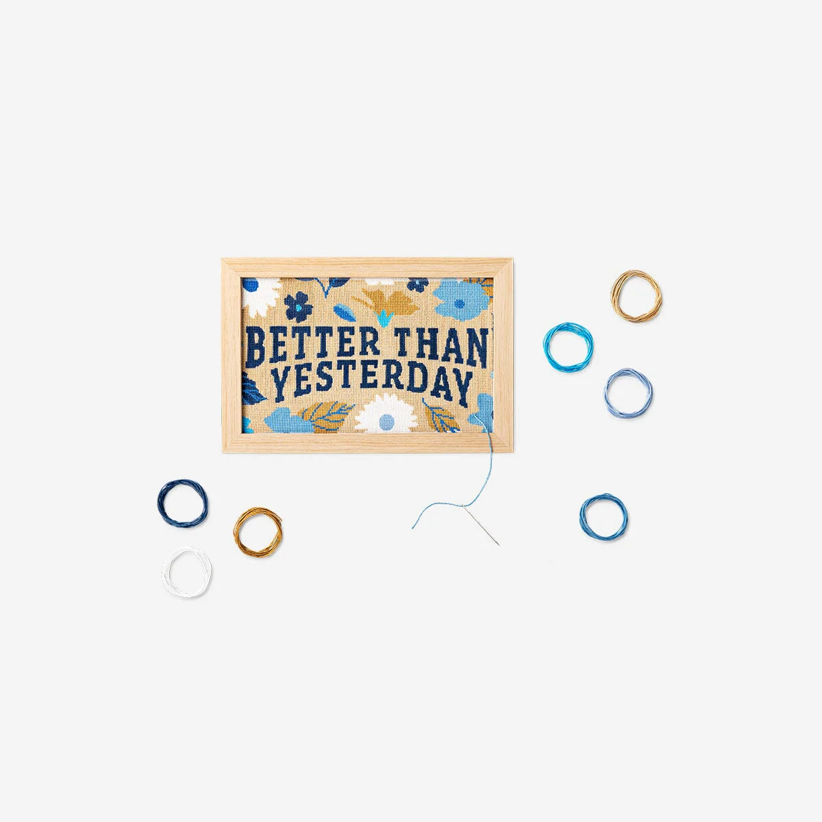 Cross stitch kit