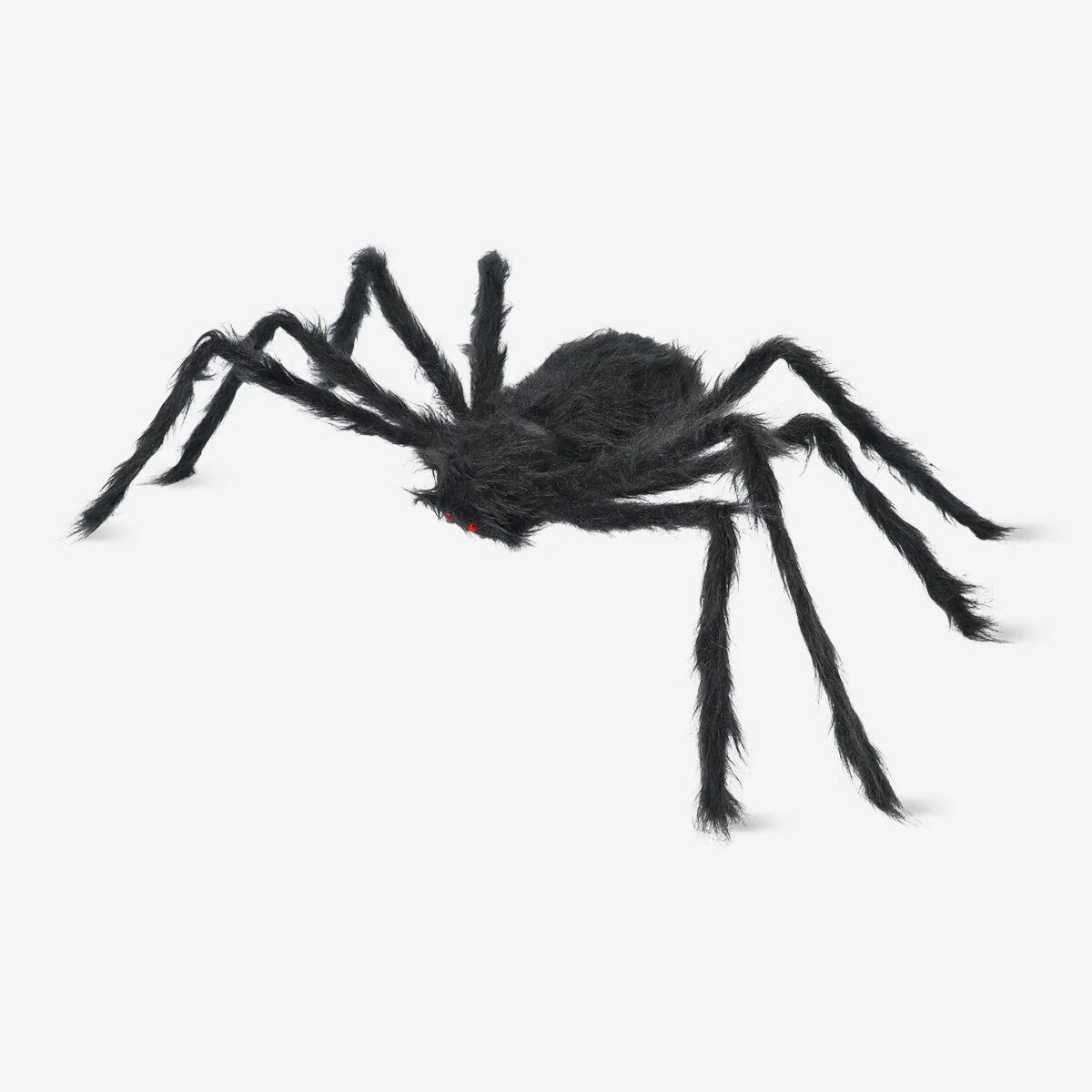 Decorative black spider