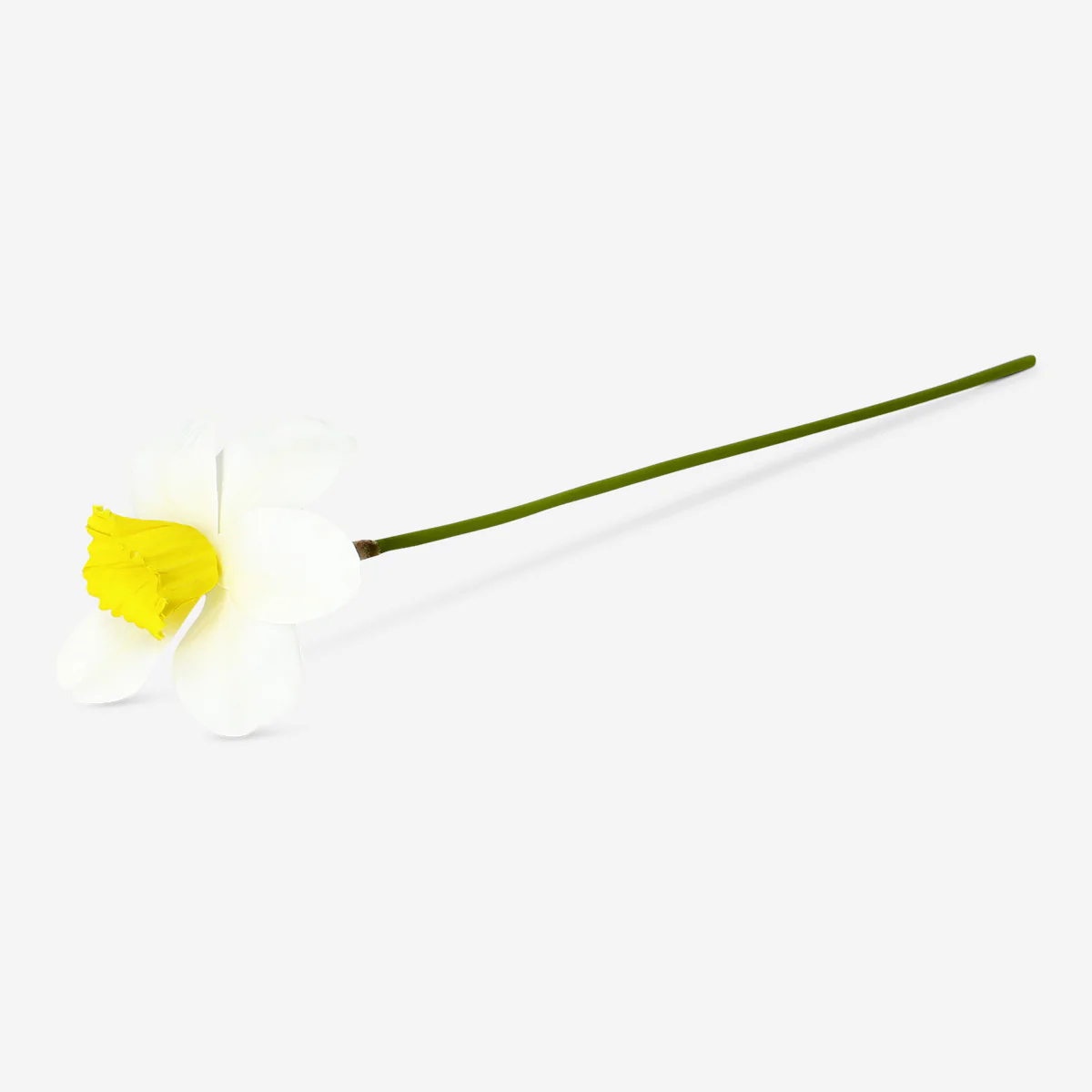 Decorative daffodil flower - 30 cm - Image 2