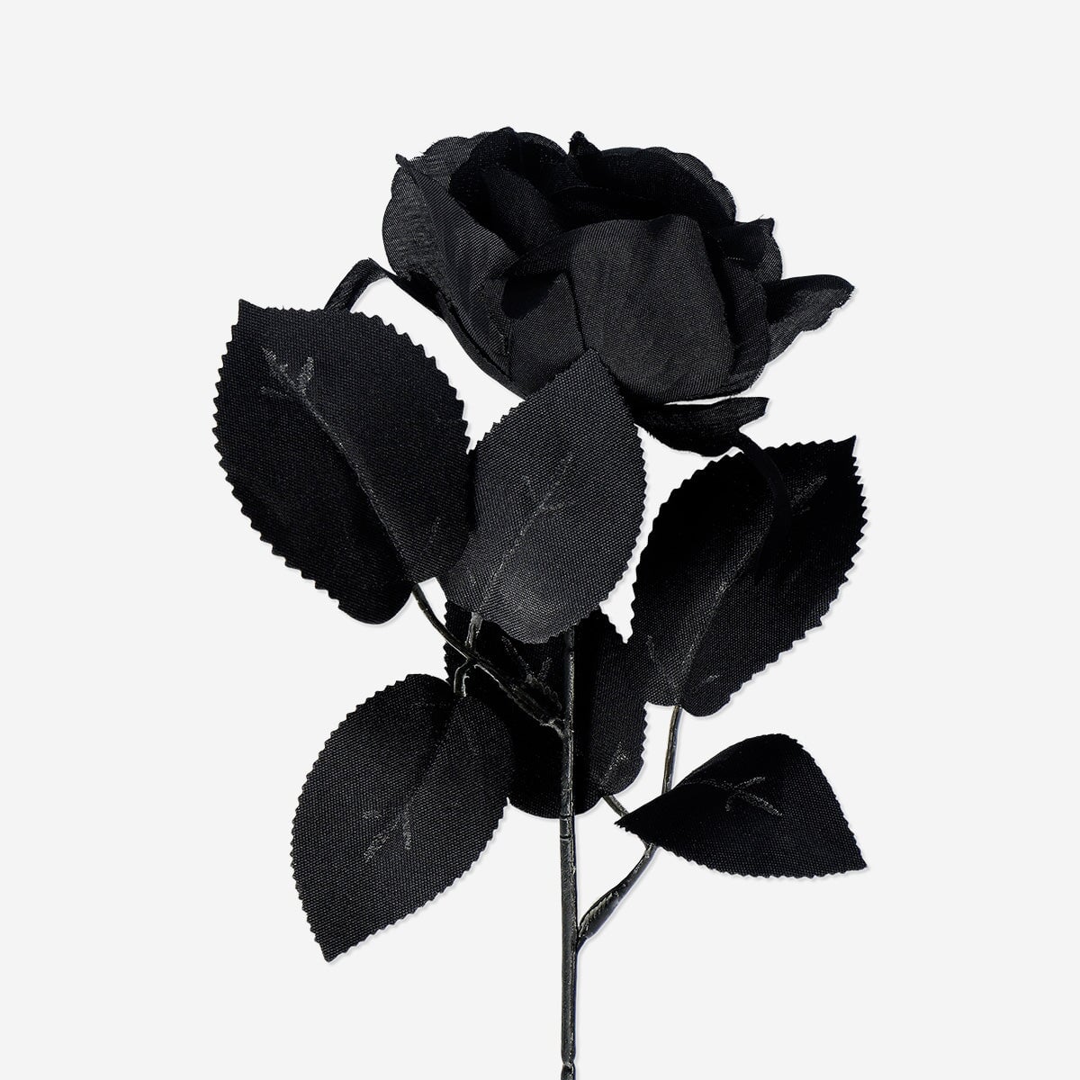 Decorative flower - Black rose - Image 3