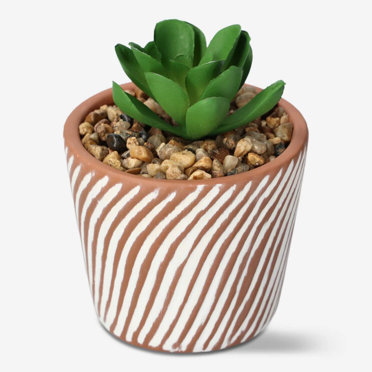 Decorative plant - Image 2