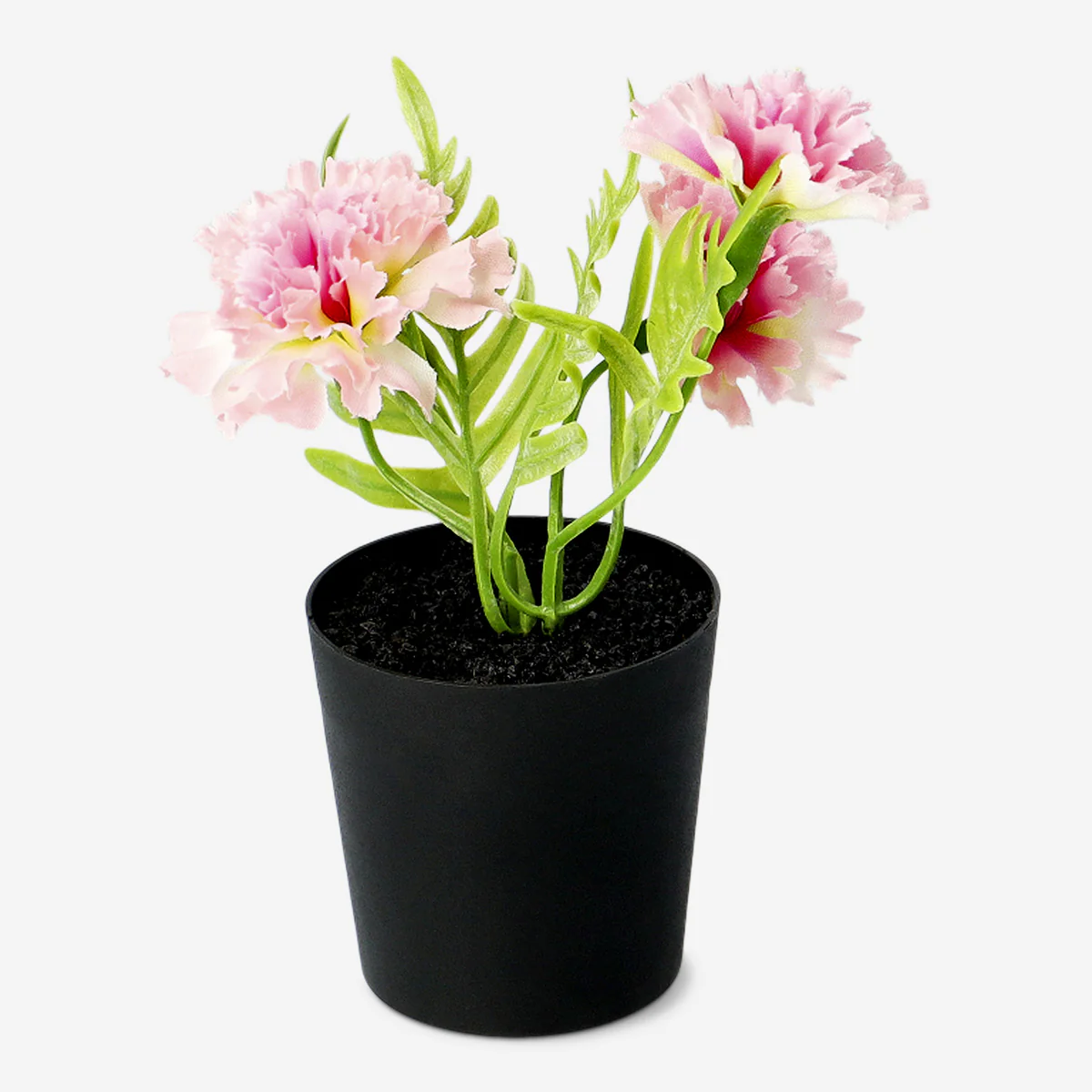 Decorative plant with pink flowers - 15 cm - Image 2