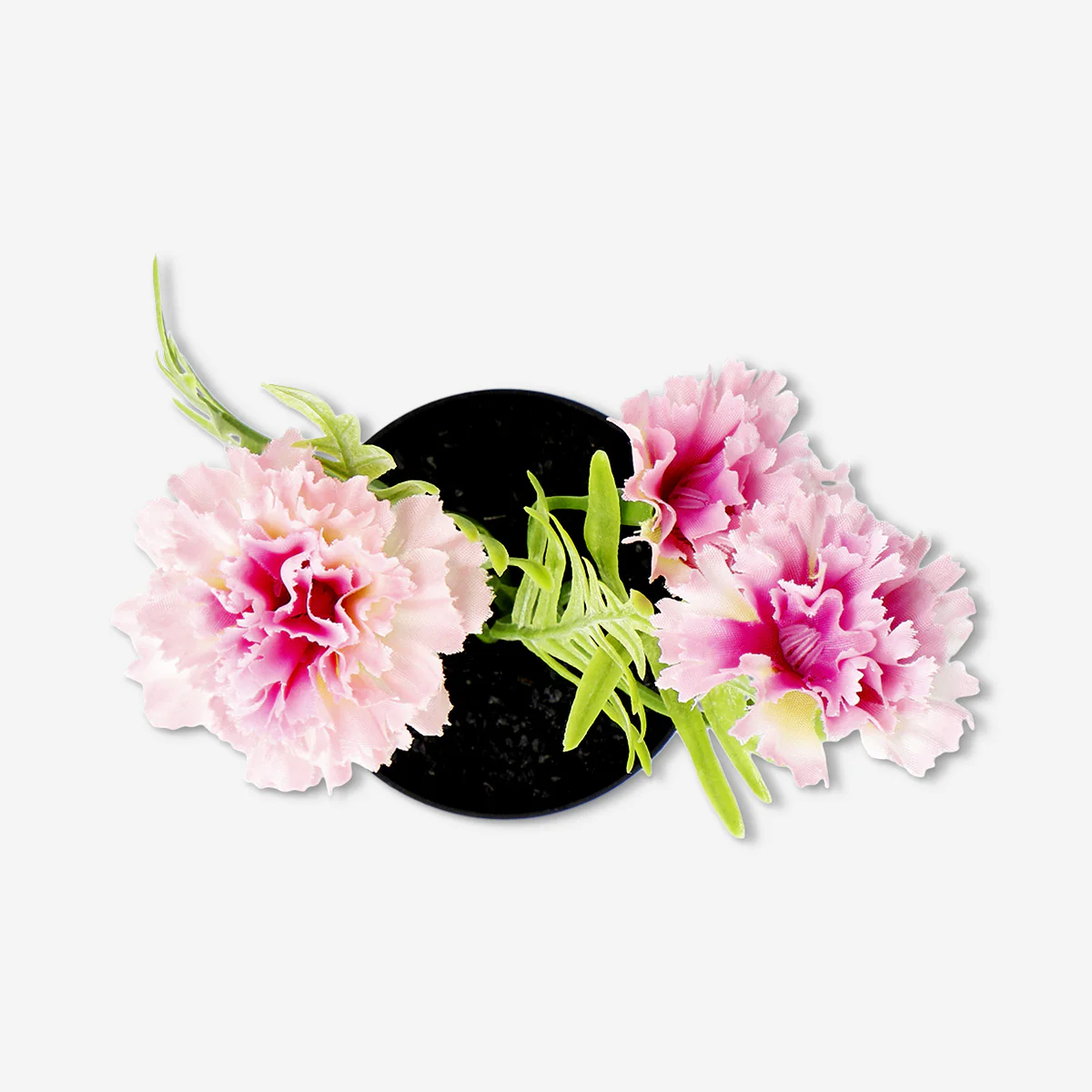 Decorative plant with pink flowers - 15 cm - Image 3