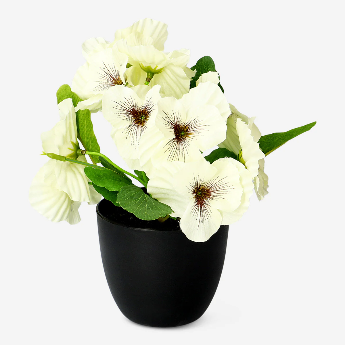 Decorative plant with white flowers - 20 cm - Image 2