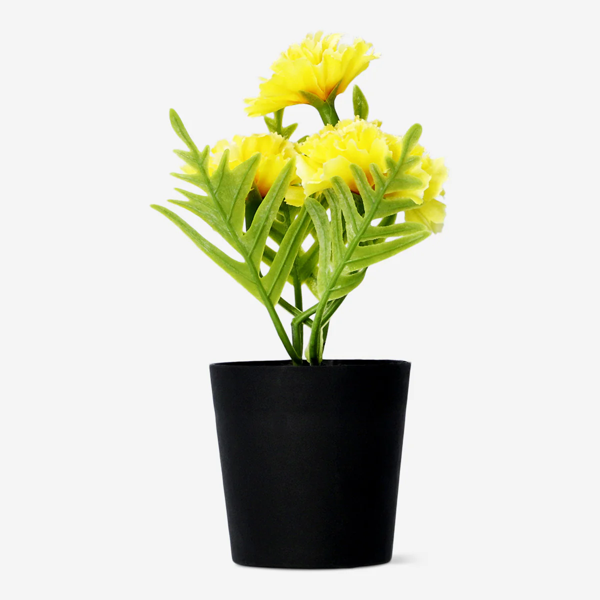 Decorative plant with yellow flowers - 15 cm
