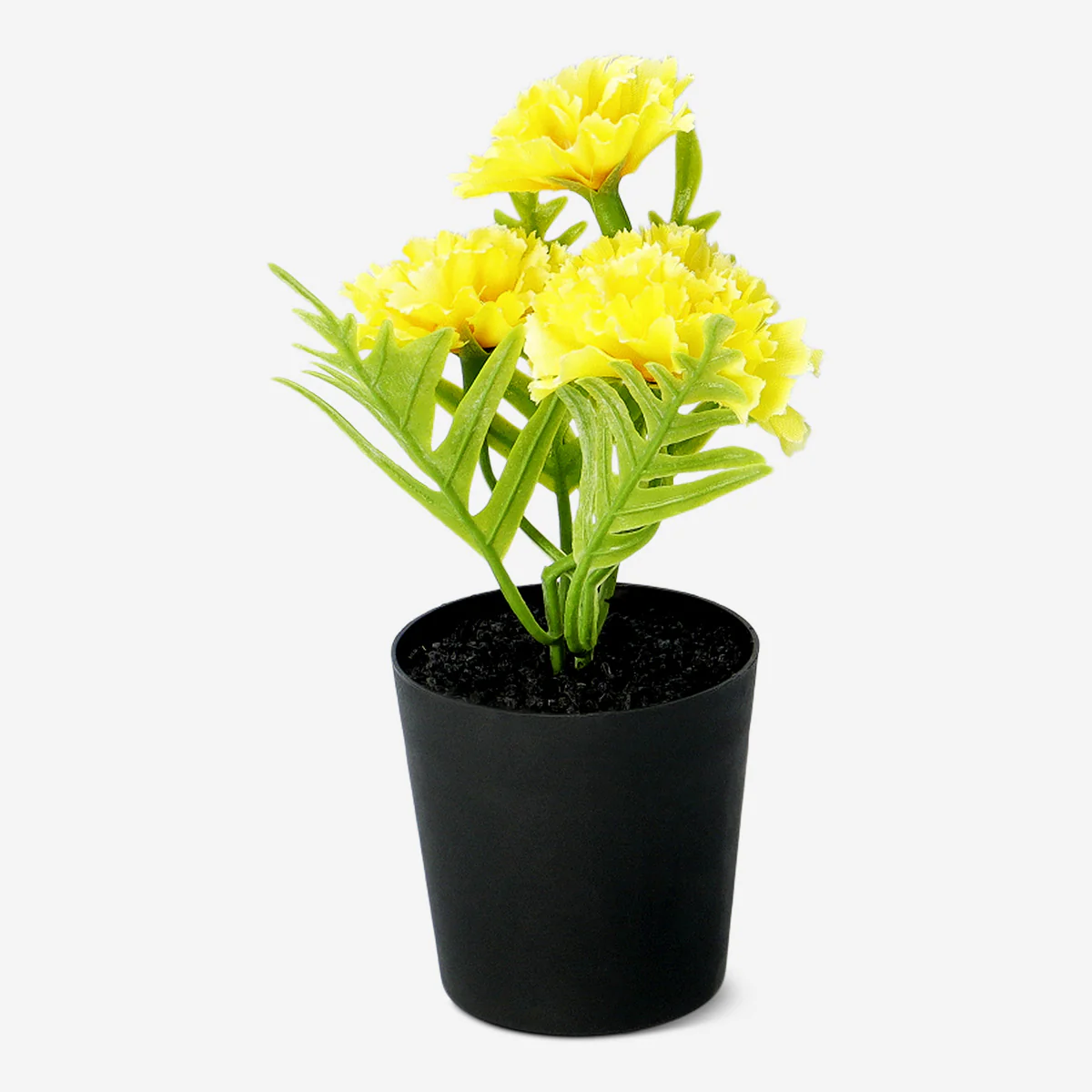 Decorative plant with yellow flowers - 15 cm - Image 2