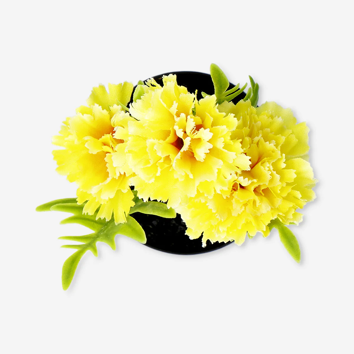 Decorative plant with yellow flowers - 15 cm - Image 3