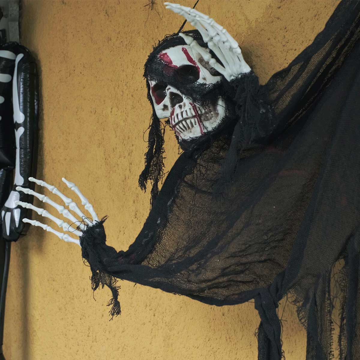 Decorative skeleton - Image 2