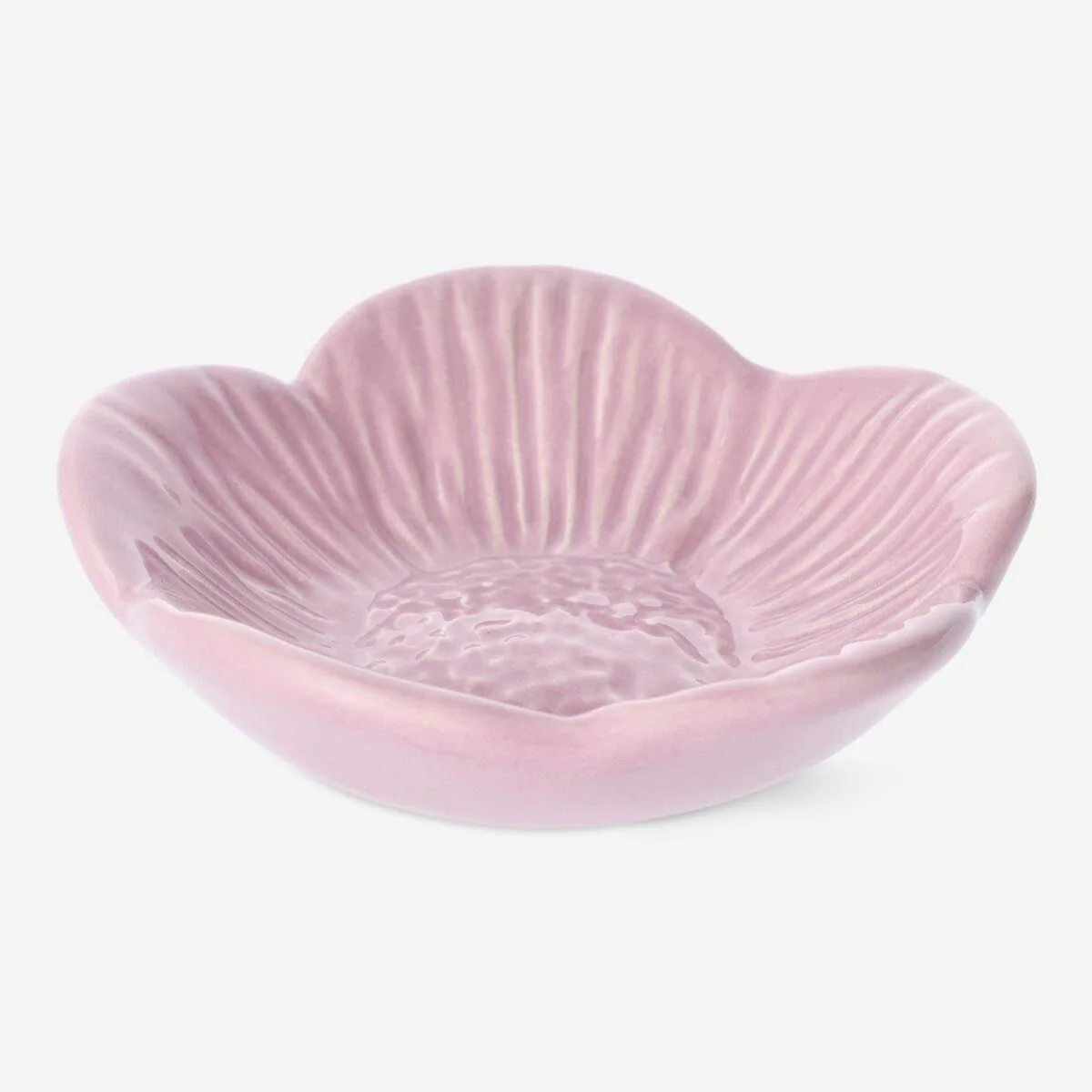 Dish