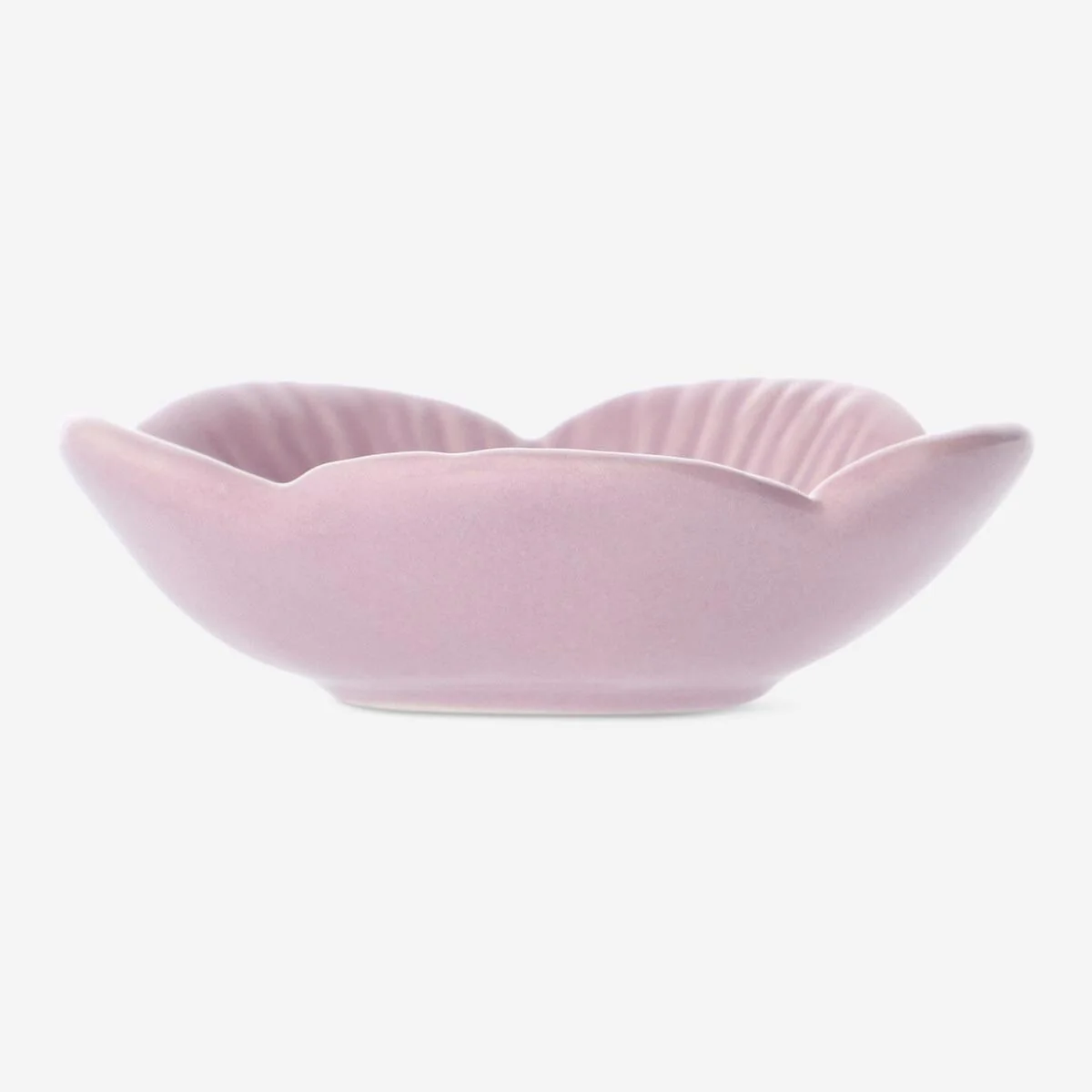 Dish - Image 3