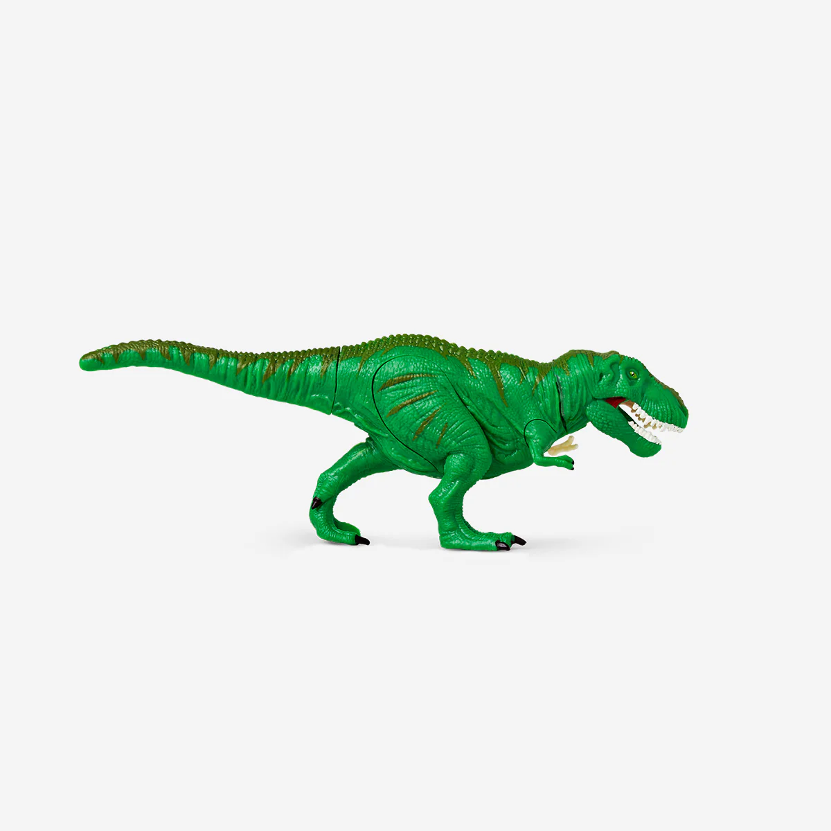 DIY 3D anatomical T-Rex puzzle - Image 2
