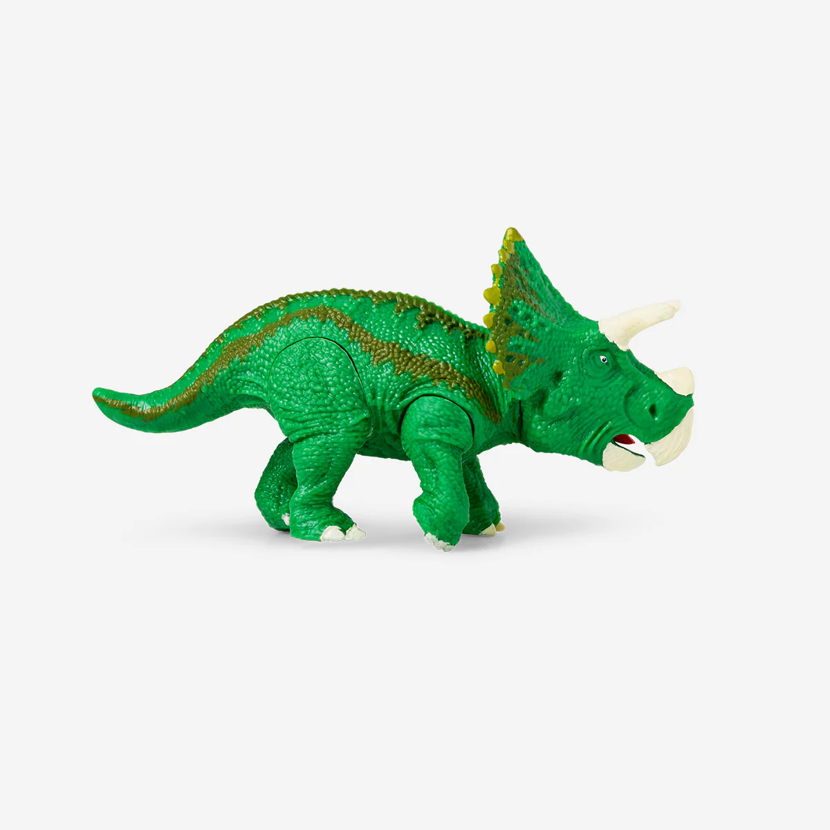 DIY 3D anatomical Triceratop puzzle - Image 2