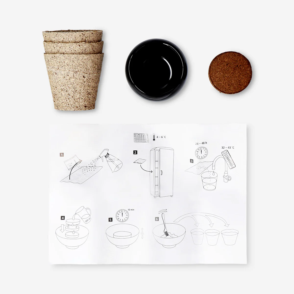 DIY bonsai tree growing kit - Image 3