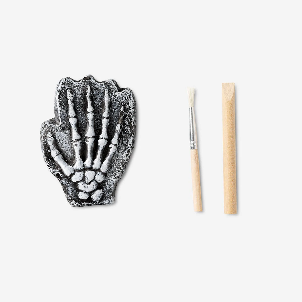 Excavation kit. Skeletons - Image 2