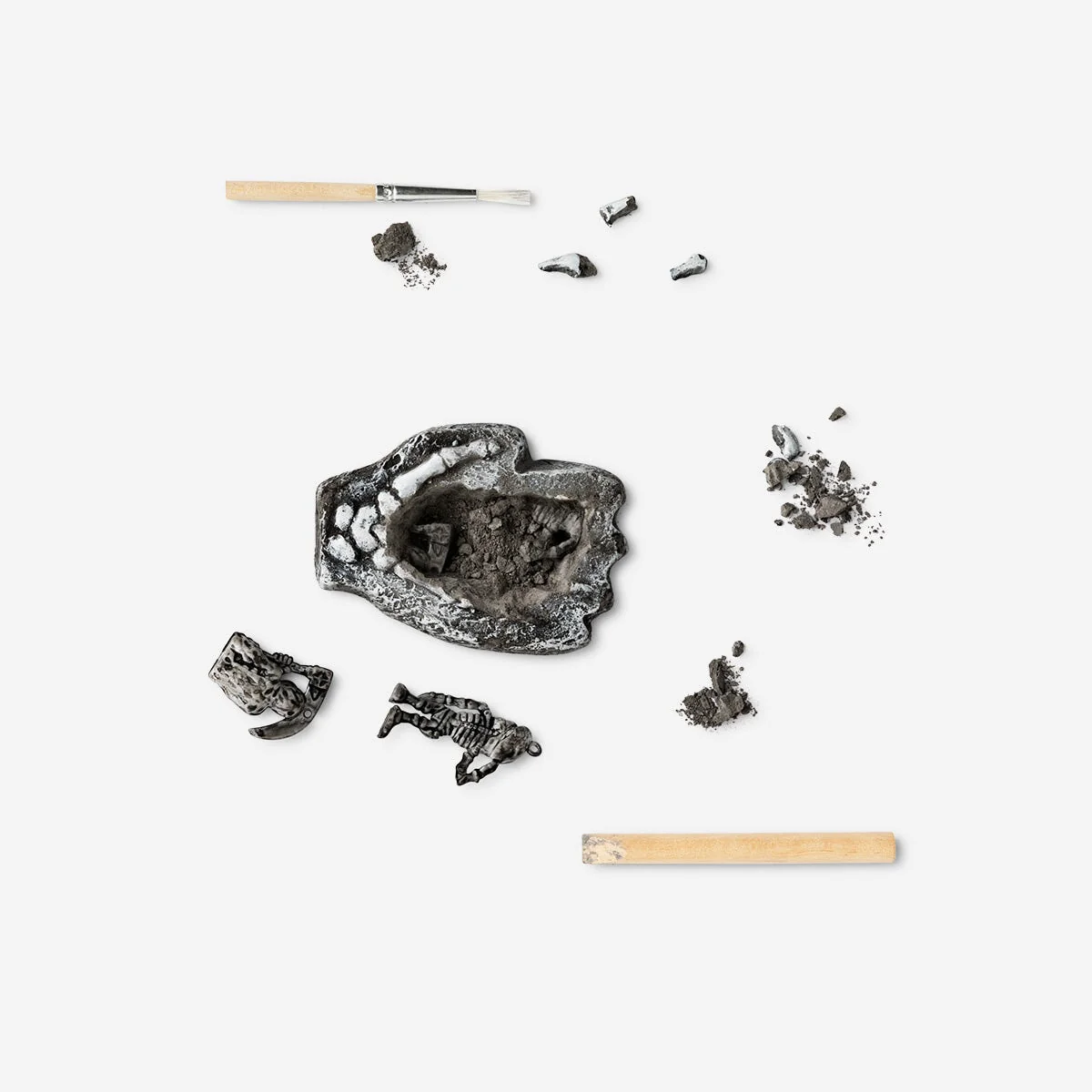 Excavation kit. Skeletons - Image 3
