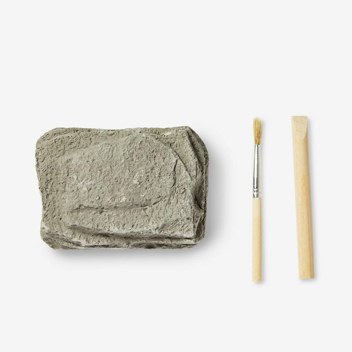 Excavation kit - Fossils - Image 2
