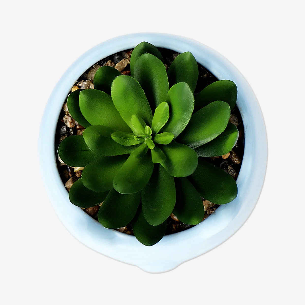 Faux succulent in blue ceramic pot - Image 3