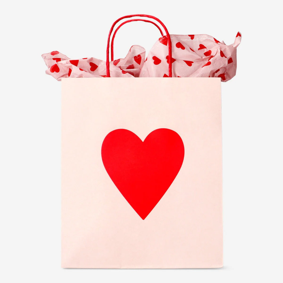 Gift bag. With tissue paper