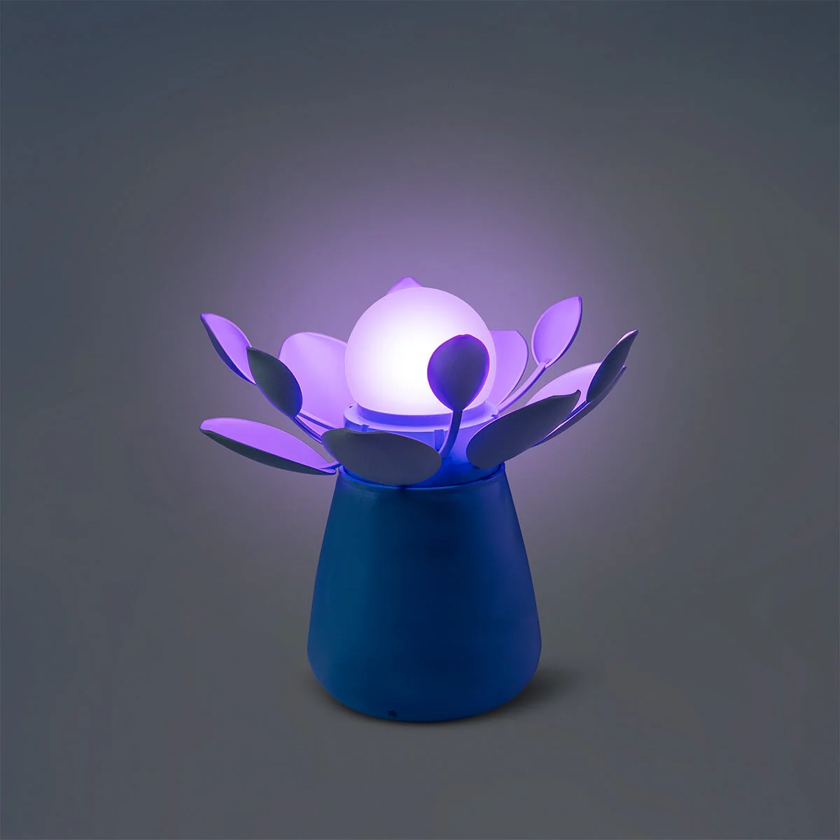 Glowing blue flower lamp that moves - Image 2