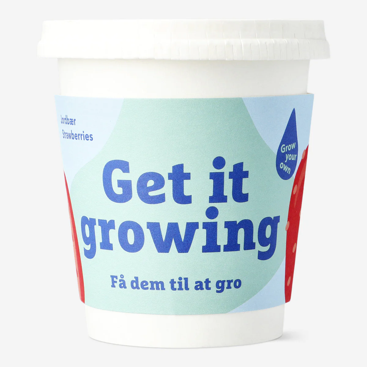 Grow kit - Strawberries - Image 3