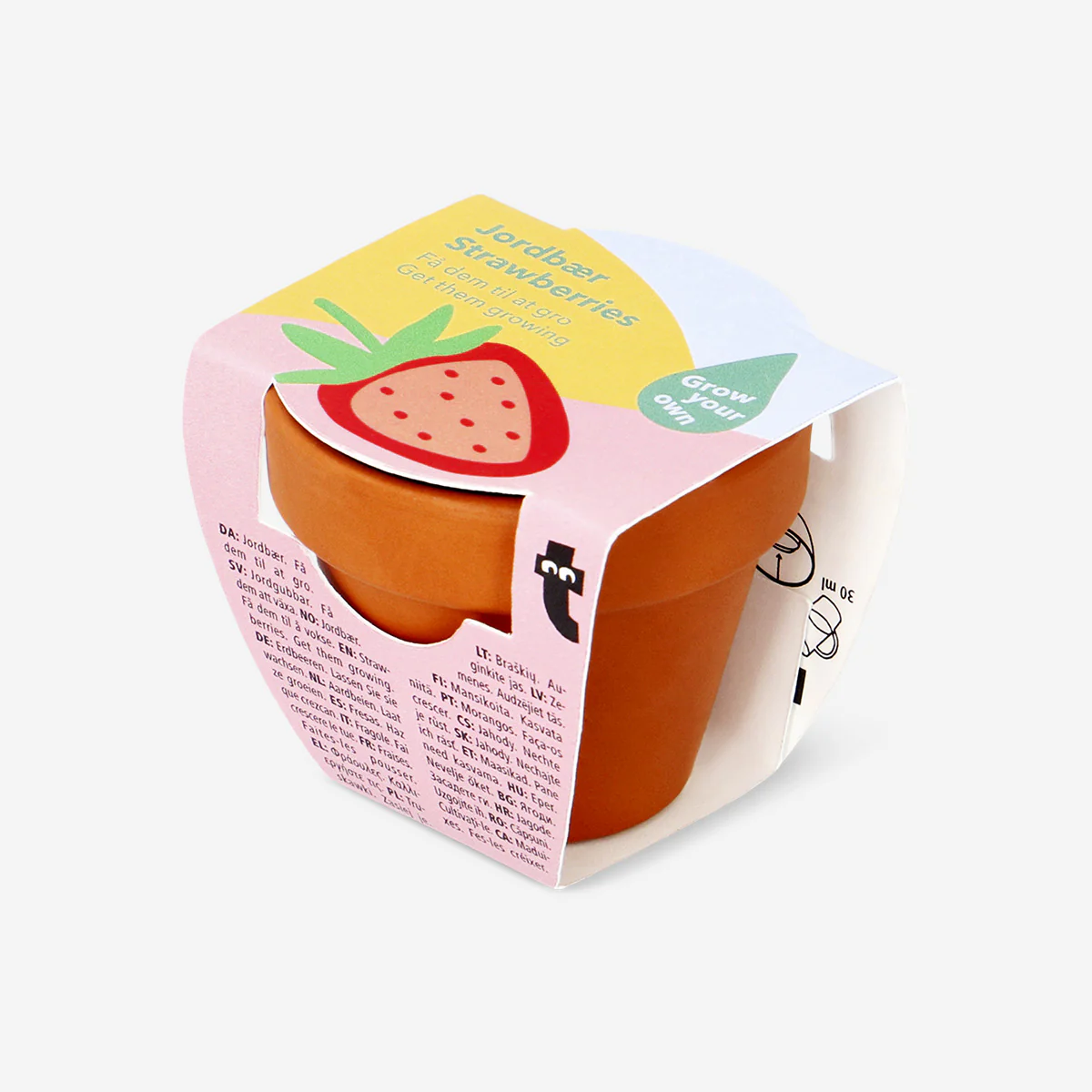 Grow kit - Strawberries - Image 2