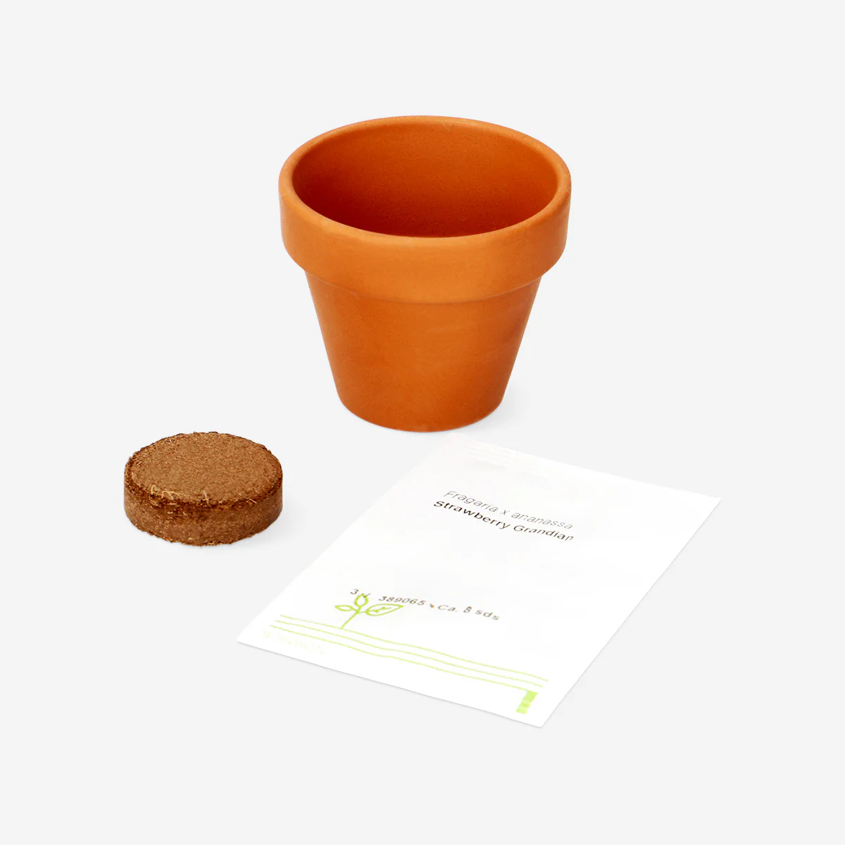 Grow kit - Strawberries - Image 3
