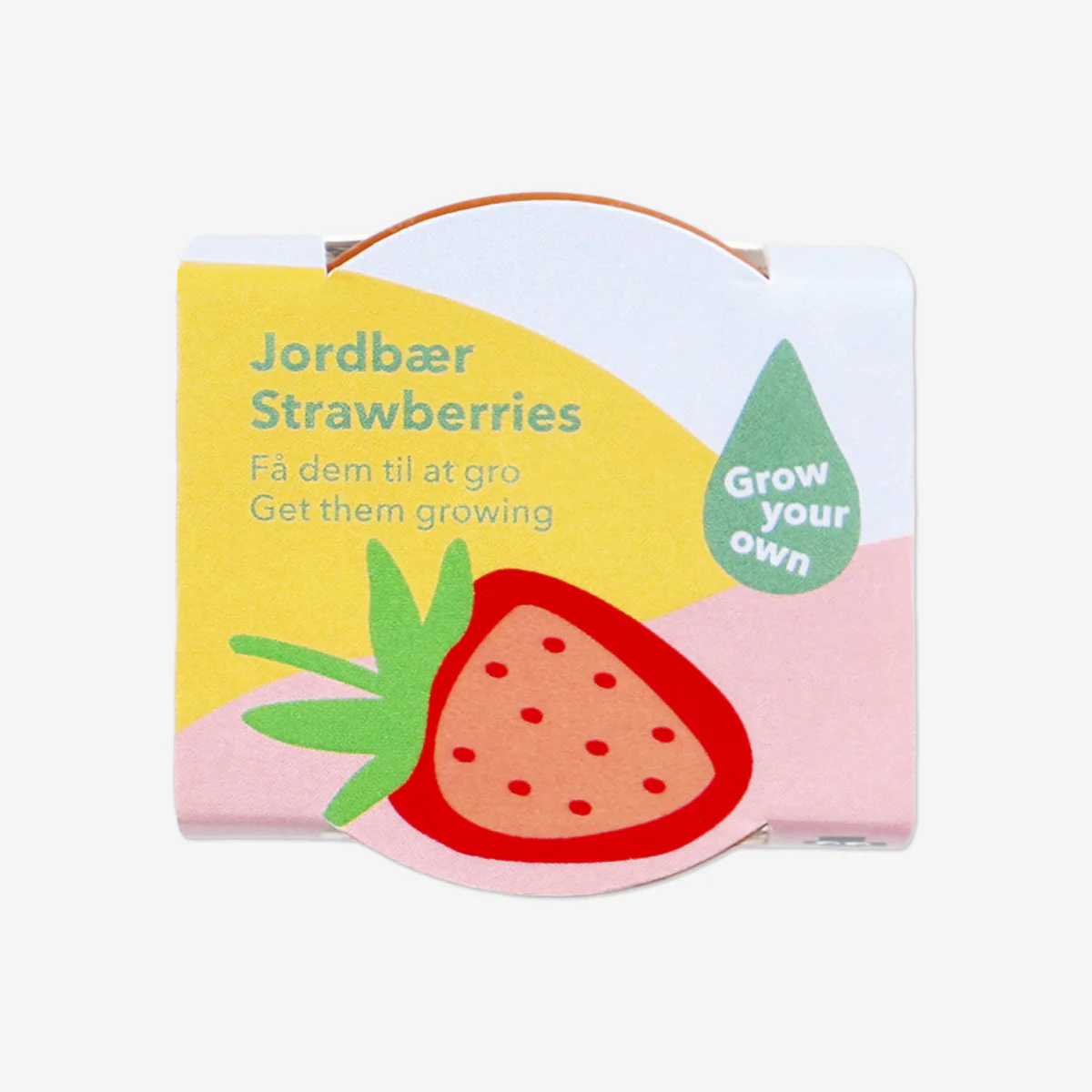 Grow kit - Strawberries - Image 4