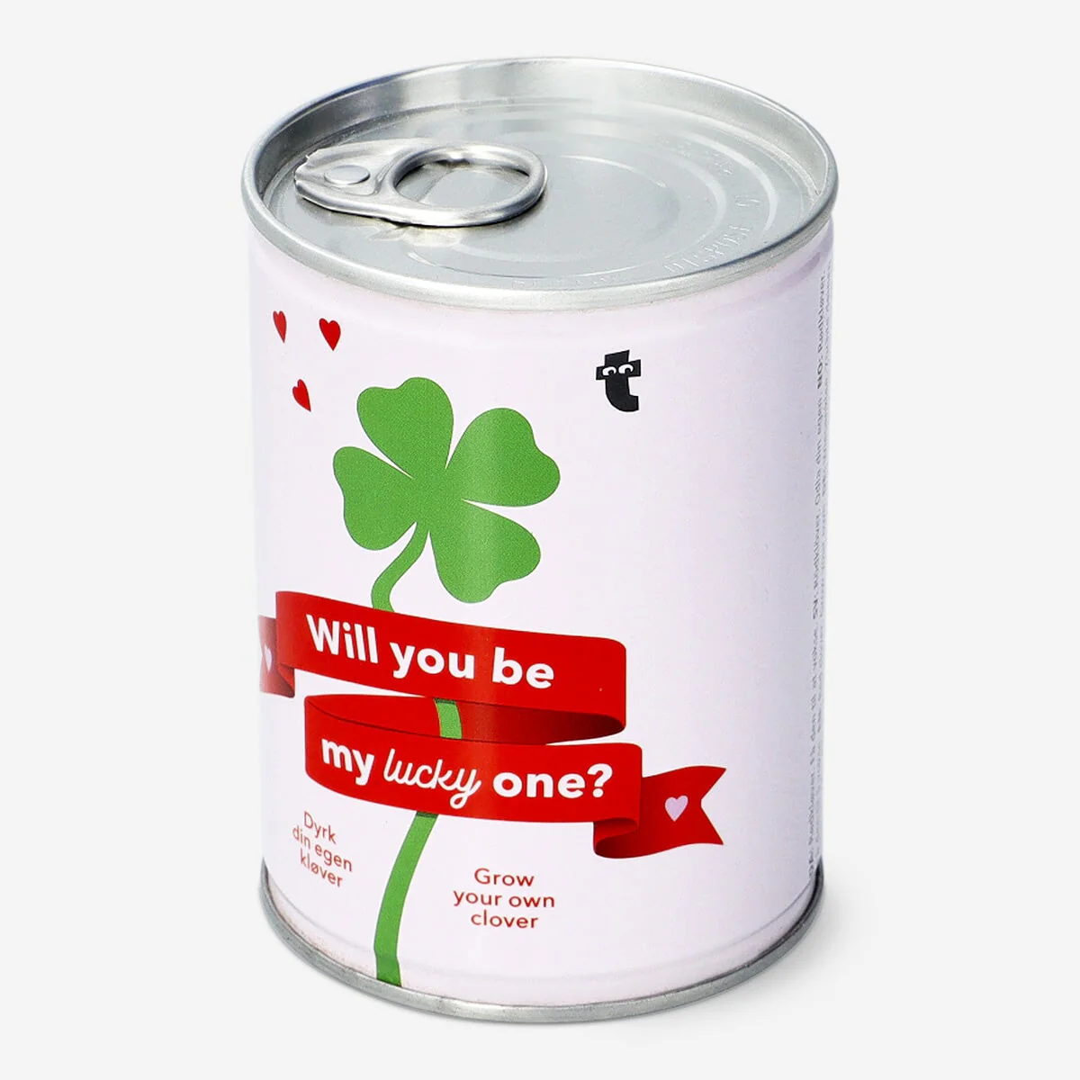 Grow your own clover kit - Image 2