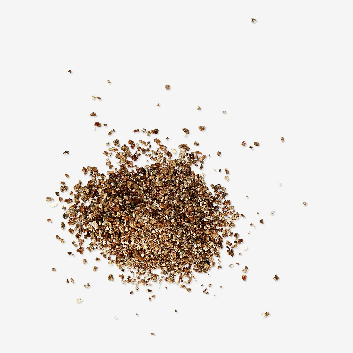 Grow your own clover kit - Image 3