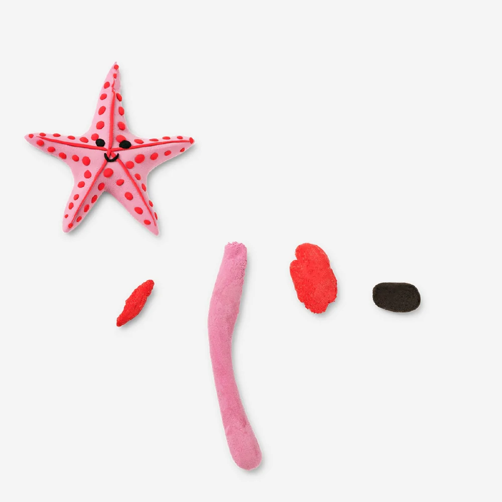 Light clay set - Starfish - Image 2