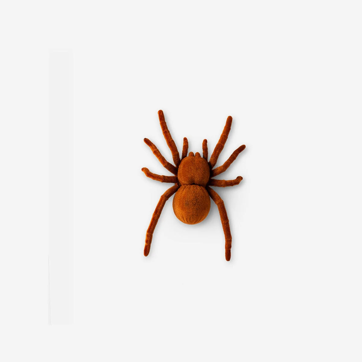 Moving spider - Image 2