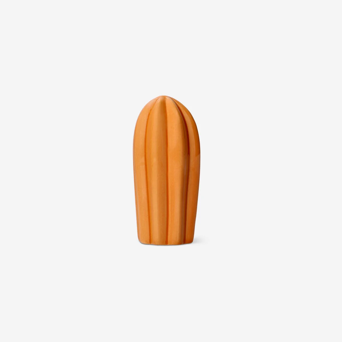 Orange decorative cactus - 10 cm - Image 2