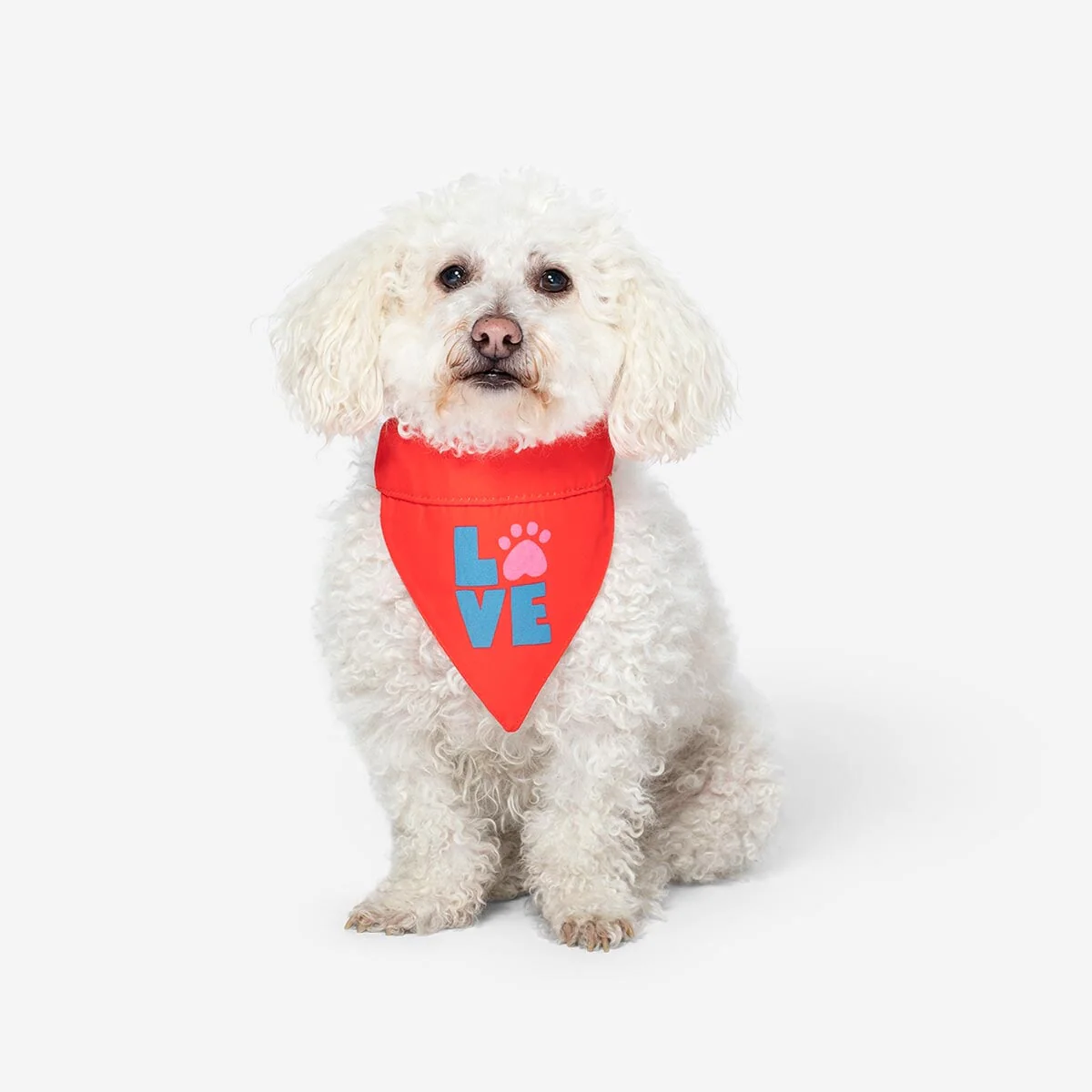 Pet accessories. One size