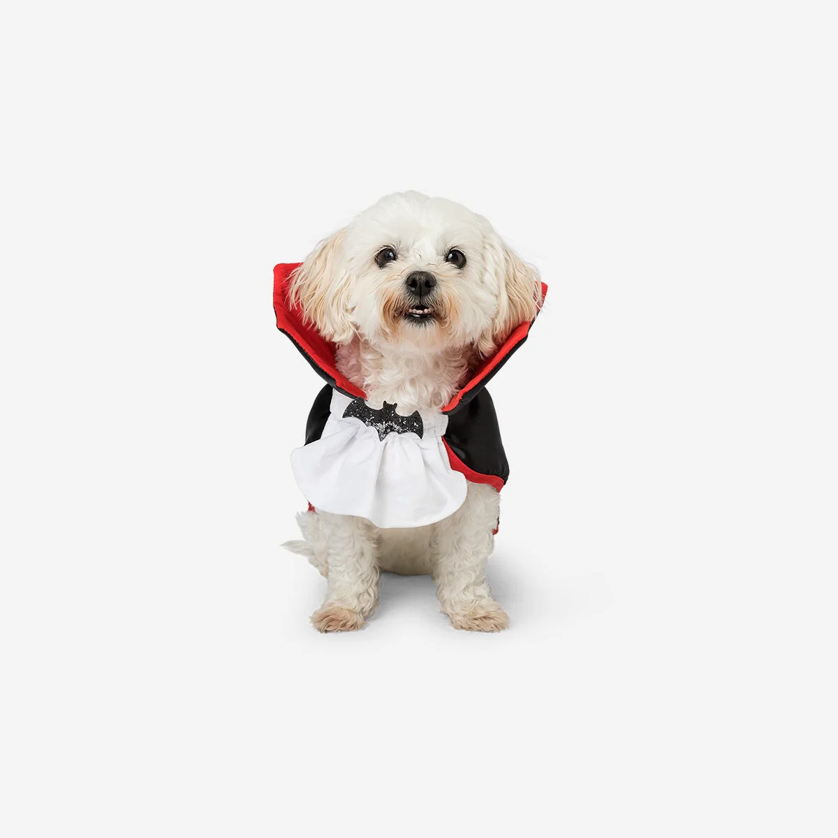 Pet costume - Dracula