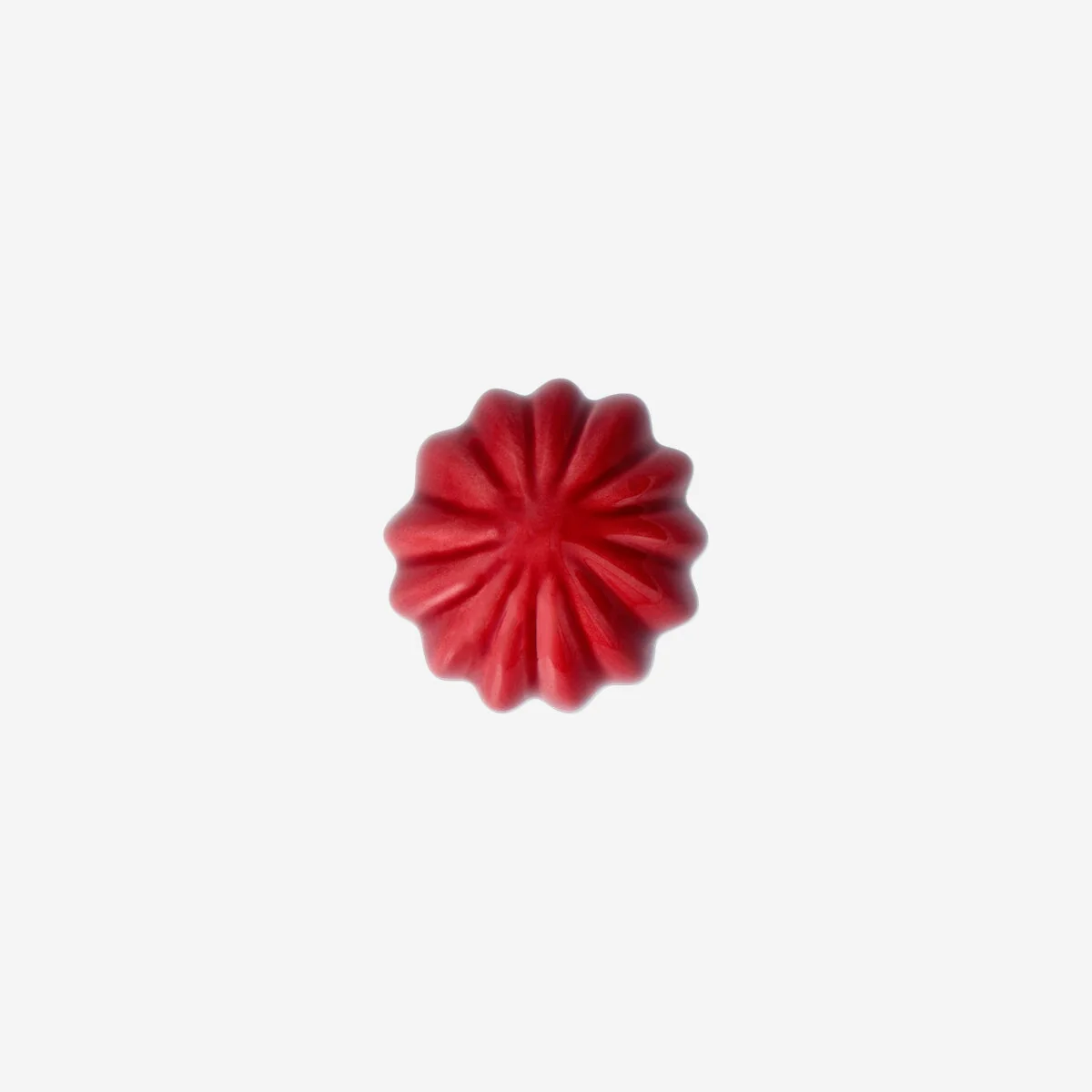 Pink decorative cactus - 6 cm - Image 3