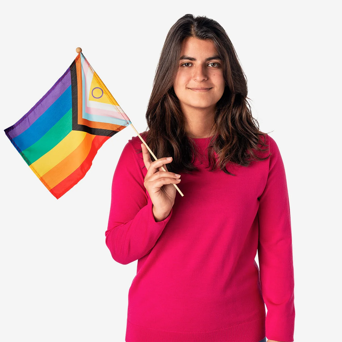 Rainbow flag on a stick - 45 cm - Image 3