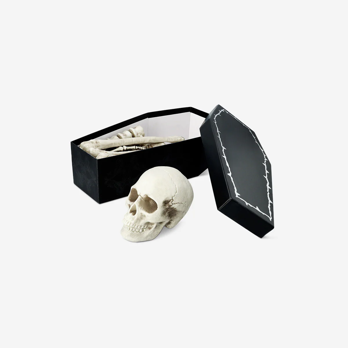 Skeleton bone set - Image 2