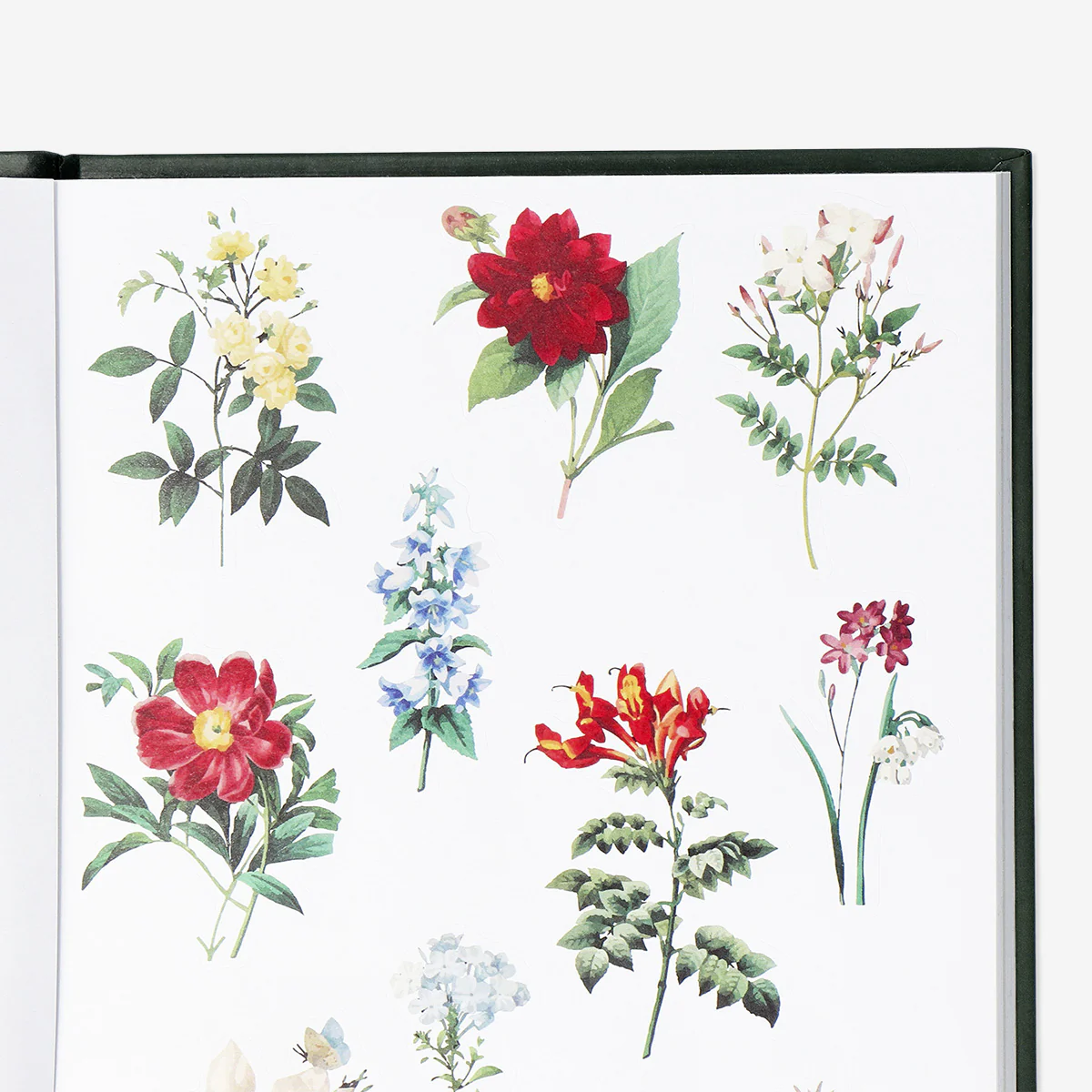 Sticker book with flowers - Image 3