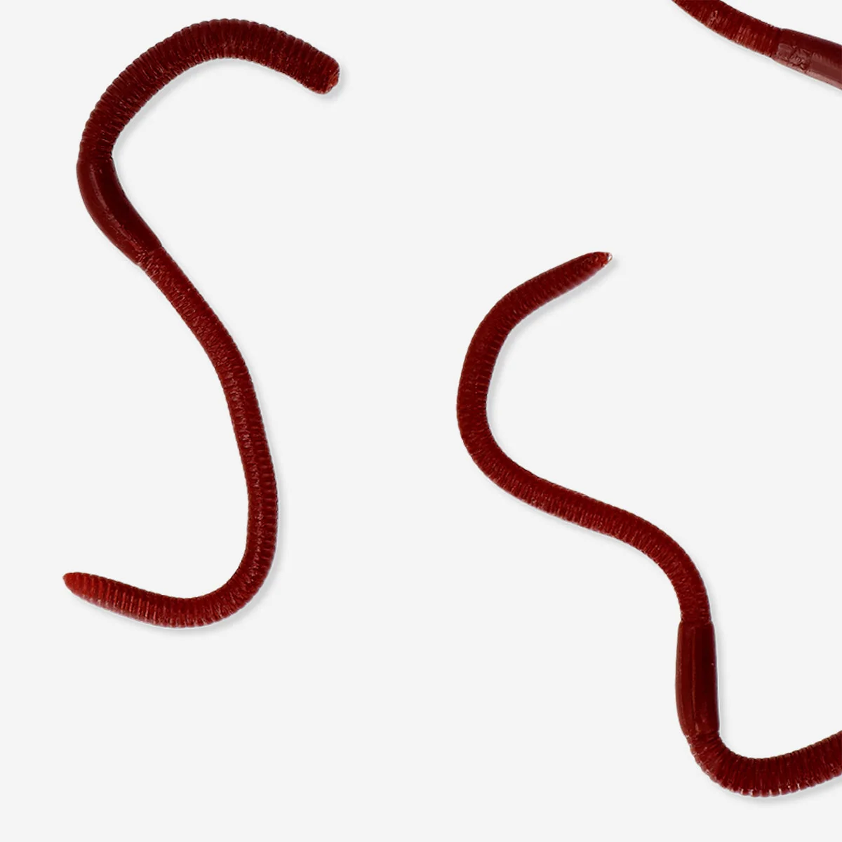 Sticky worms in a box - 4 pcs - Image 3