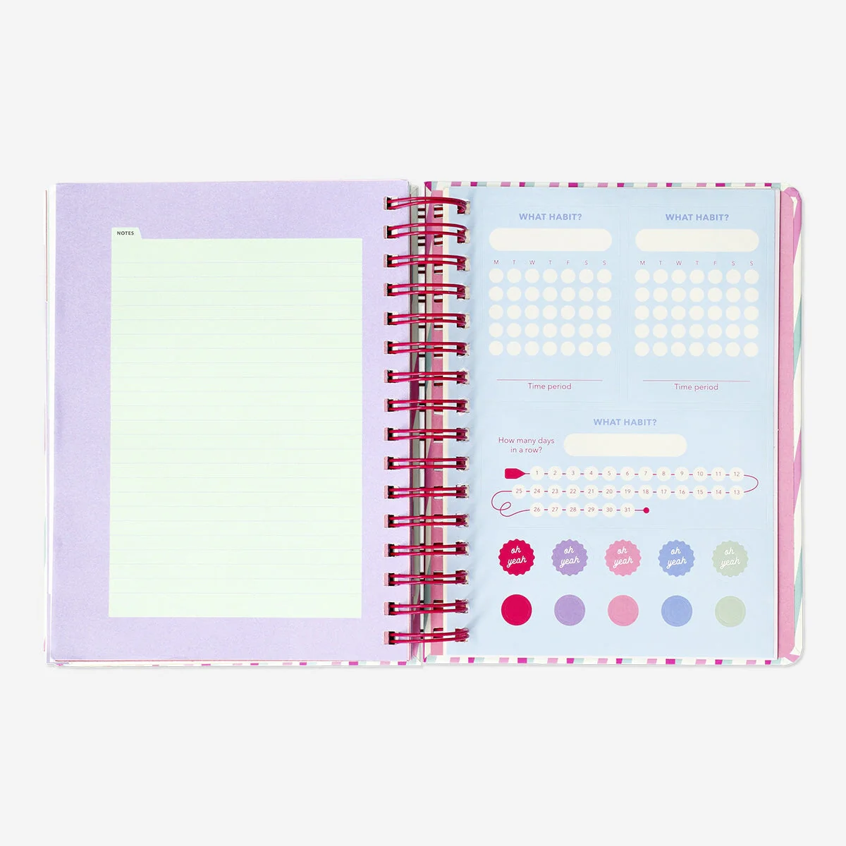 Striped study planner. English - Image 3