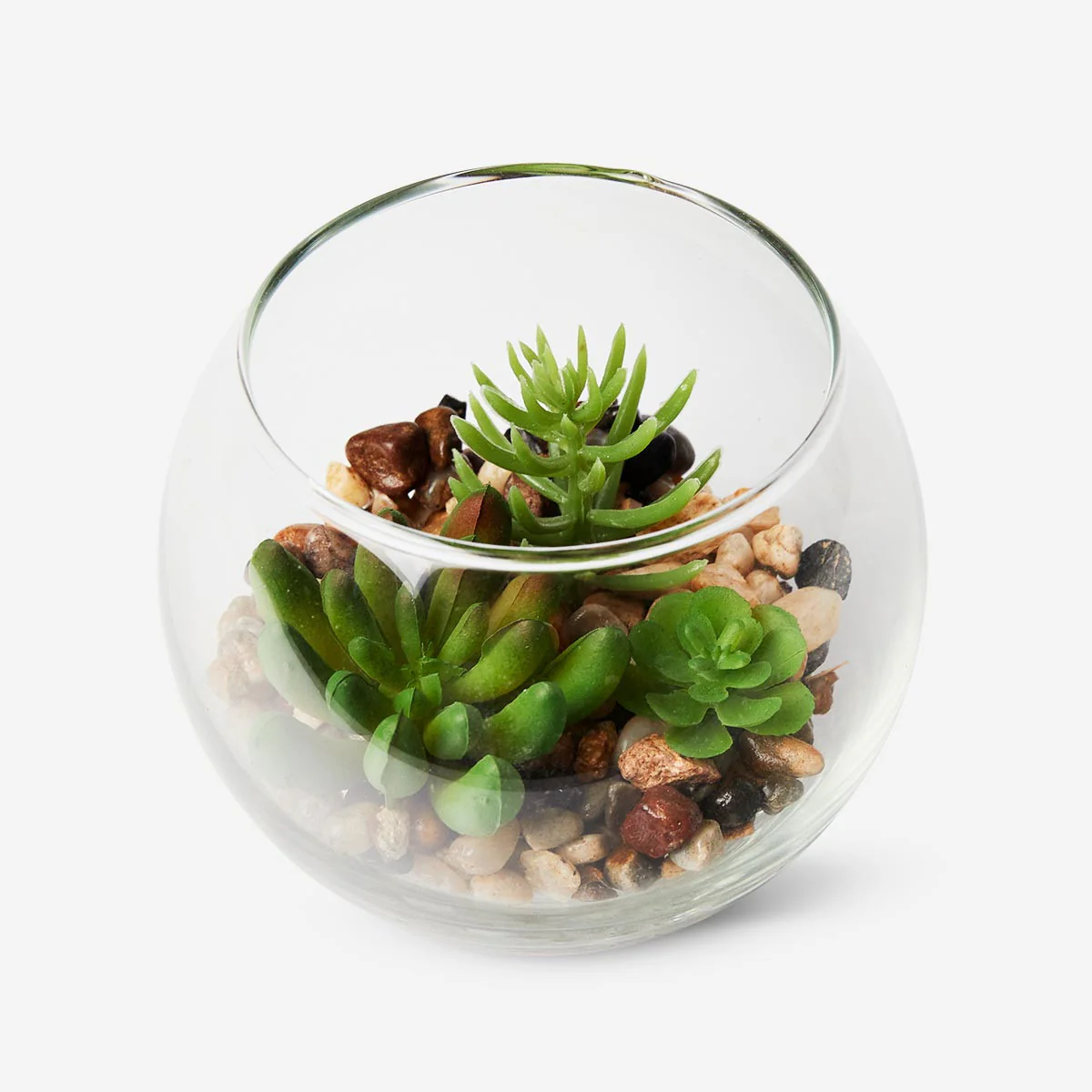 Terrarium - Image 2