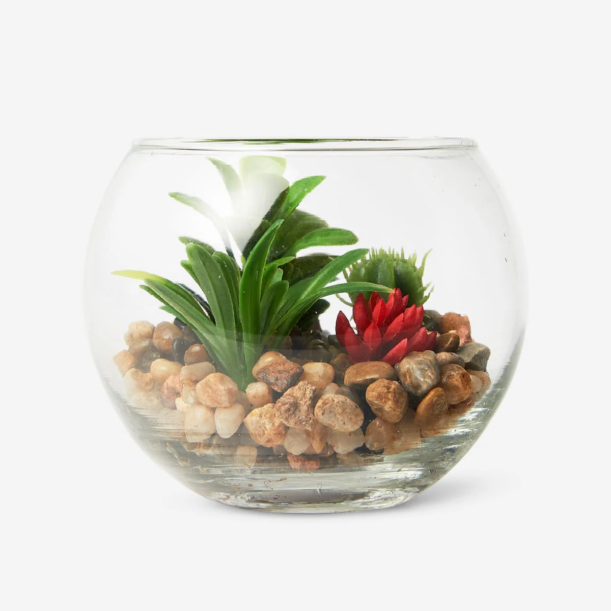 Terrarium
